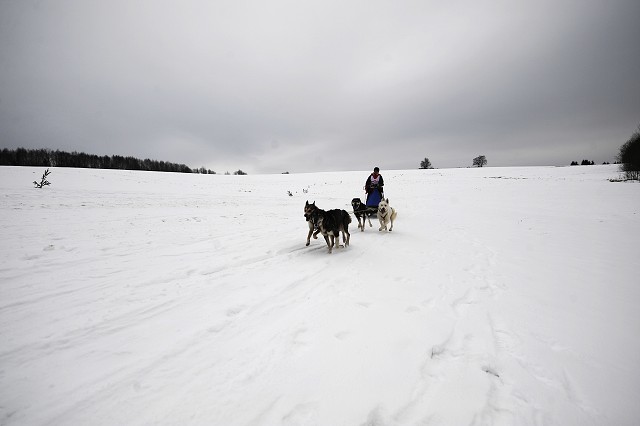 Kynologická revue - www.dogsk.sk