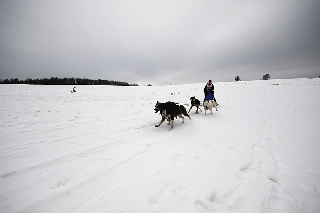 Kynologická revue - www.dogsk.sk