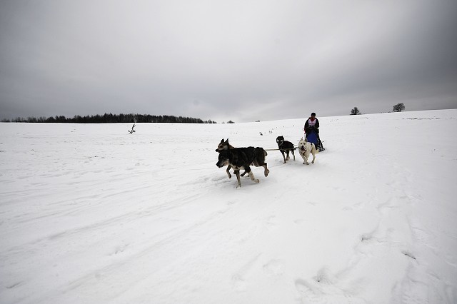 Kynologická revue - www.dogsk.sk