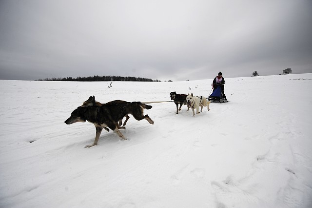 Kynologická revue - www.dogsk.sk