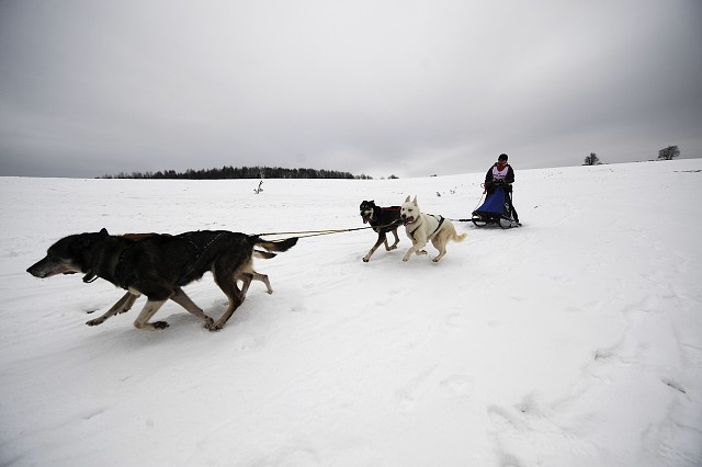 Kynologická revue - www.dogsk.sk