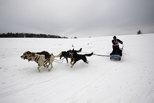 Kynologická revue - www.dogsk.sk