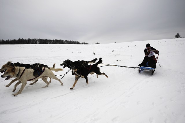 Kynologická revue - www.dogsk.sk