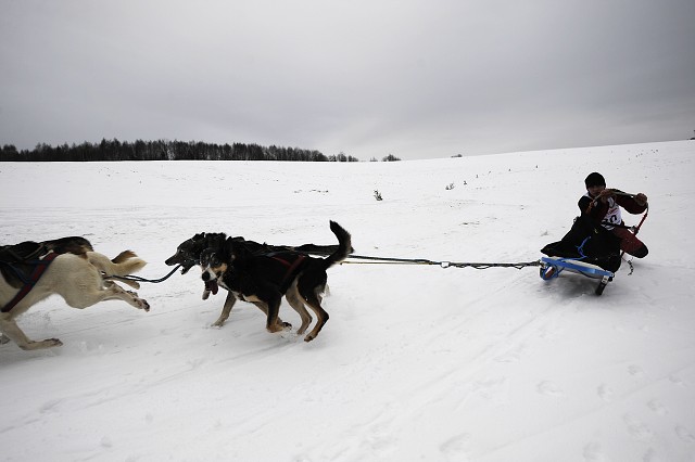 Kynologická revue - www.dogsk.sk