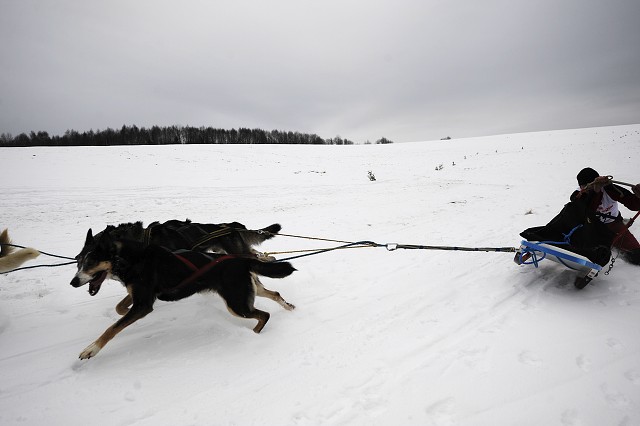 Kynologická revue - www.dogsk.sk