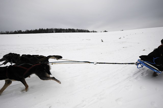 Kynologická revue - www.dogsk.sk