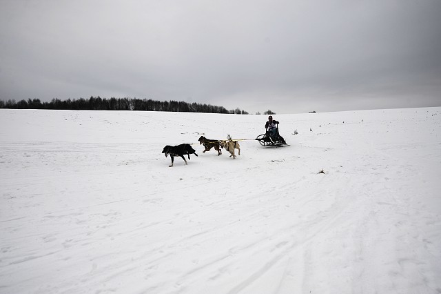 Kynologická revue - www.dogsk.sk