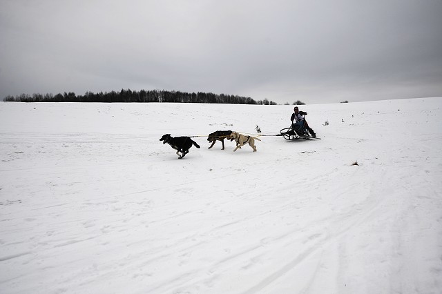 Kynologická revue - www.dogsk.sk