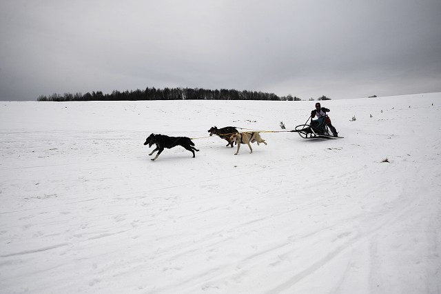 Kynologická revue - www.dogsk.sk