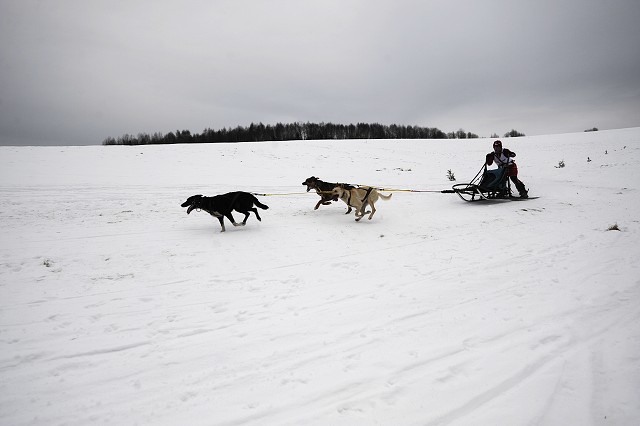 Kynologická revue - www.dogsk.sk