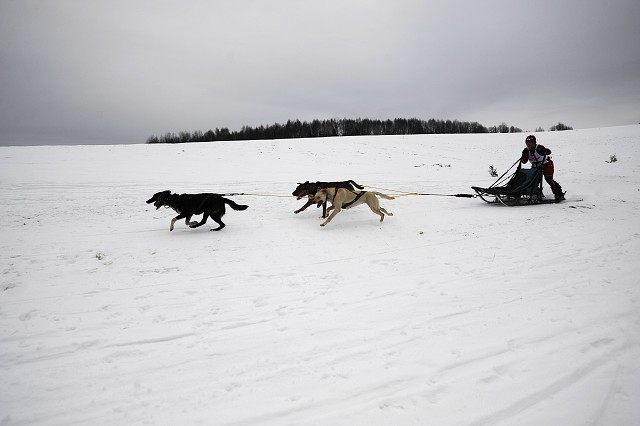 Kynologická revue - www.dogsk.sk