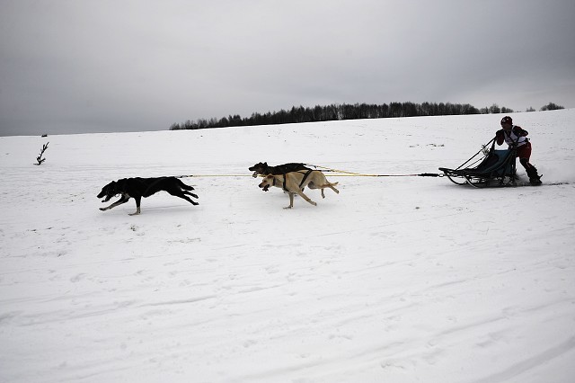 Kynologická revue - www.dogsk.sk