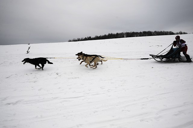 Kynologická revue - www.dogsk.sk