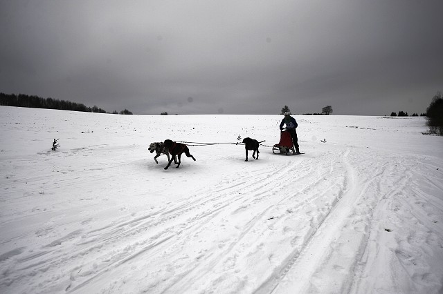 Kynologická revue - www.dogsk.sk