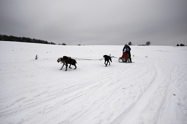 Kynologická revue - www.dogsk.sk