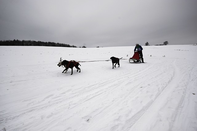 Kynologická revue - www.dogsk.sk