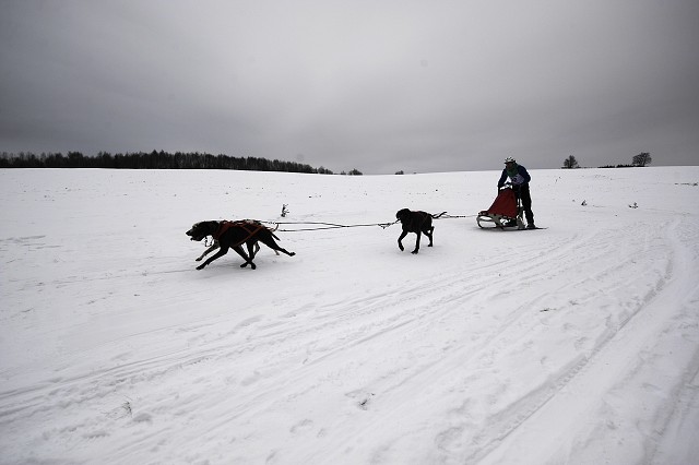 Kynologická revue - www.dogsk.sk