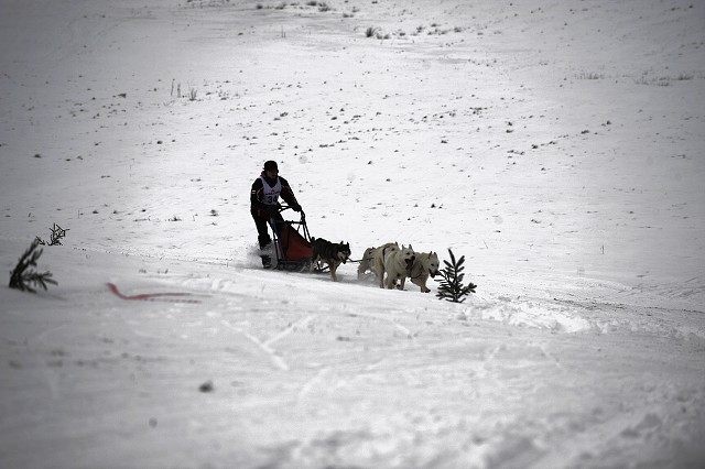 Kynologická revue - www.dogsk.sk
