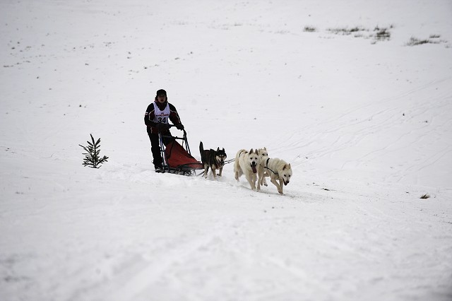 Kynologická revue - www.dogsk.sk