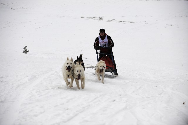 Kynologická revue - www.dogsk.sk