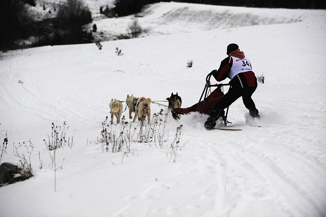 Kynologická revue - www.dogsk.sk