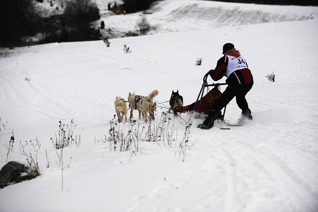 Kynologická revue - www.dogsk.sk