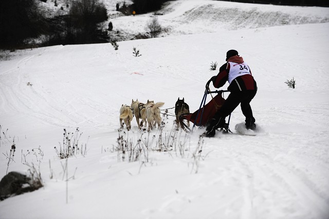 Kynologická revue - www.dogsk.sk