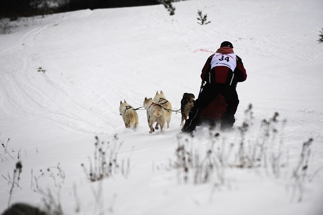Kynologická revue - www.dogsk.sk