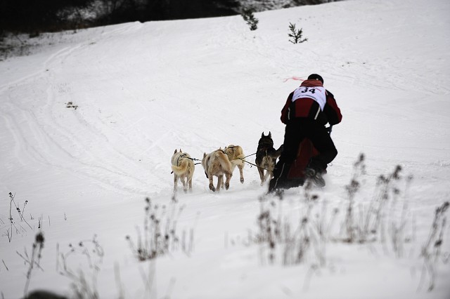 Kynologická revue - www.dogsk.sk
