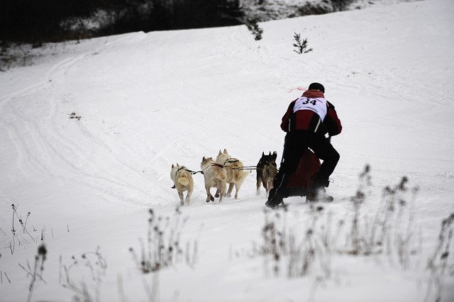 Kynologická revue - www.dogsk.sk
