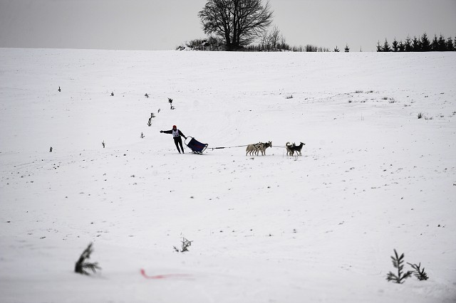Kynologická revue - www.dogsk.sk