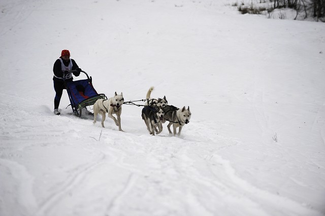Kynologická revue - www.dogsk.sk