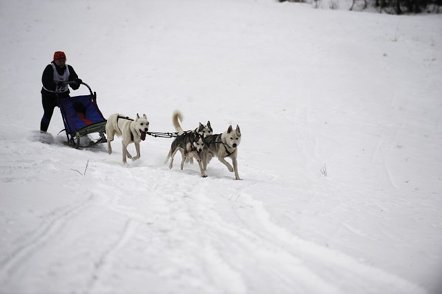Kynologická revue - www.dogsk.sk