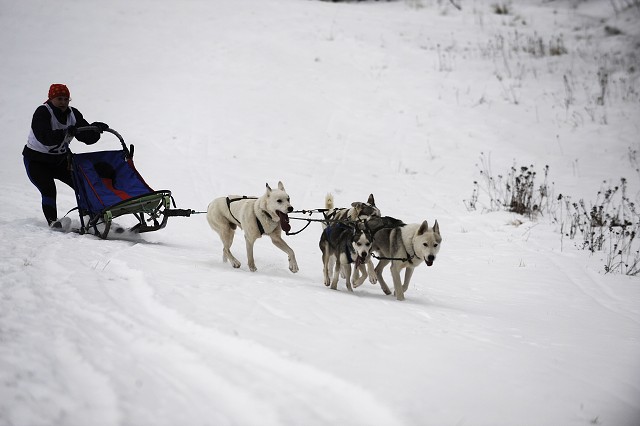 Kynologická revue - www.dogsk.sk