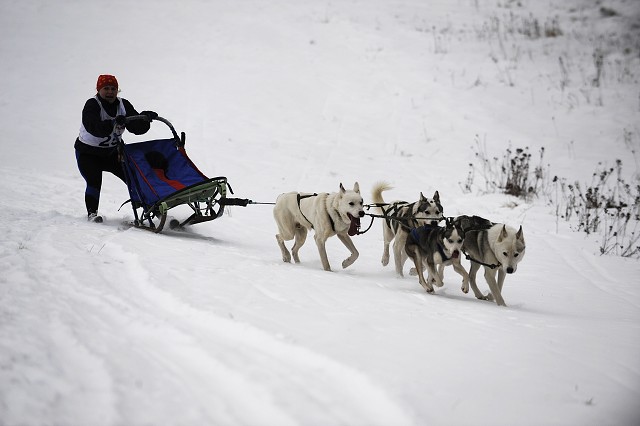 Kynologická revue - www.dogsk.sk