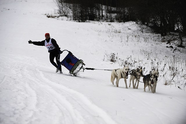 Kynologická revue - www.dogsk.sk
