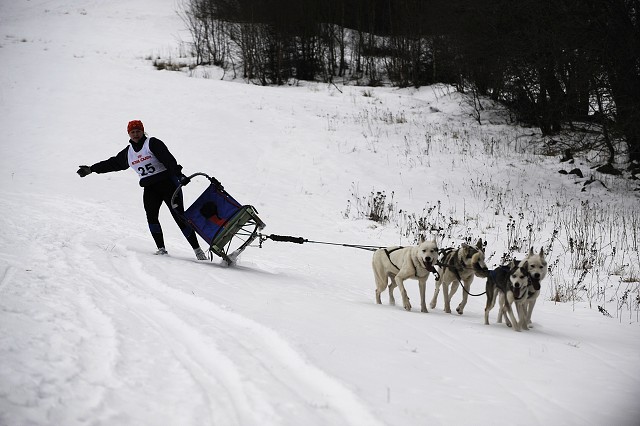 Kynologická revue - www.dogsk.sk