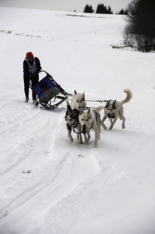 Kynologická revue - www.dogsk.sk