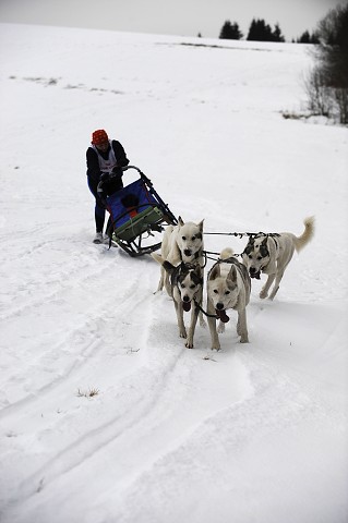 Kynologická revue - www.dogsk.sk