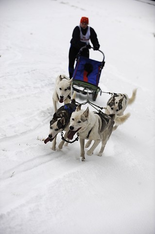 Kynologická revue - www.dogsk.sk