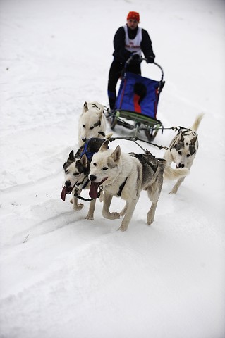 Kynologická revue - www.dogsk.sk