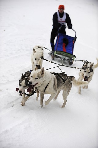Kynologická revue - www.dogsk.sk