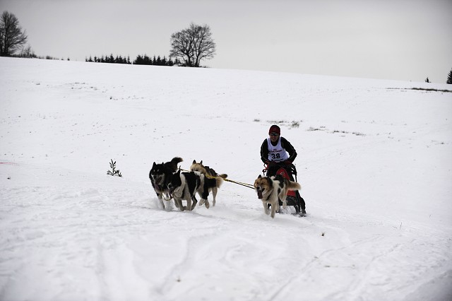 Kynologická revue - www.dogsk.sk