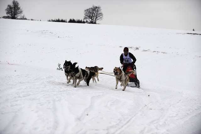 Kynologická revue - www.dogsk.sk