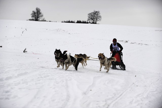 Kynologická revue - www.dogsk.sk