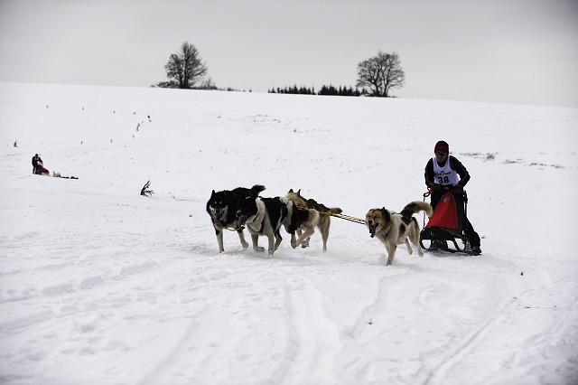Kynologická revue - www.dogsk.sk