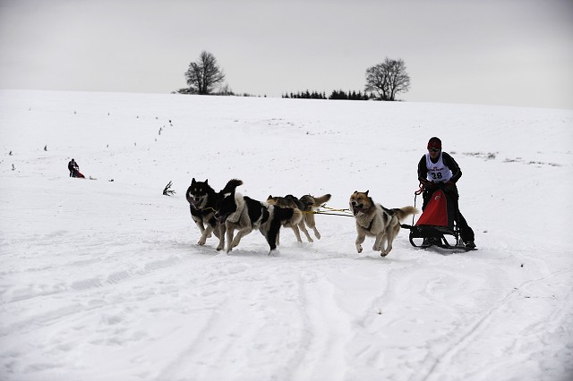 Kynologická revue - www.dogsk.sk