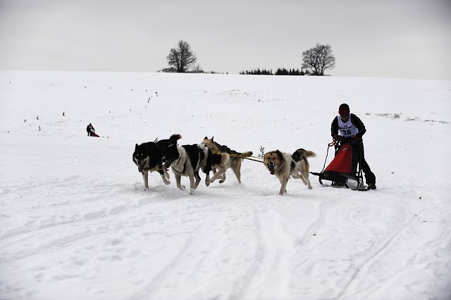 Kynologická revue - www.dogsk.sk