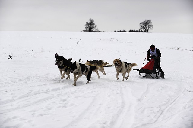Kynologická revue - www.dogsk.sk