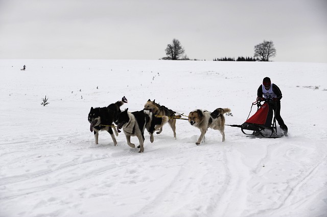 Kynologická revue - www.dogsk.sk